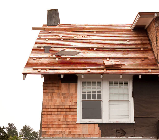 Affordable Siding Repair and Maintenance Services in Citrus Park, FL