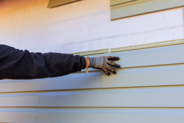 Best Aluminum Siding Installation  in Citrus Park, FL